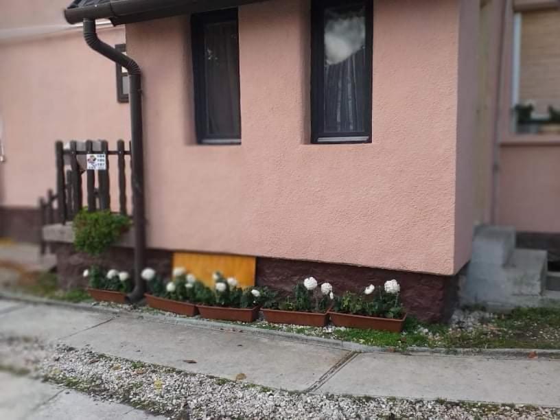 Malomtavi Vendeghaz Tapolca Hotel Buitenkant foto